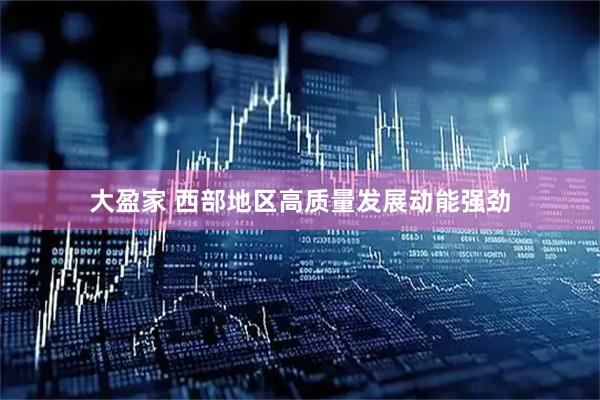 大盈家 西部地区高质量发展动能强劲