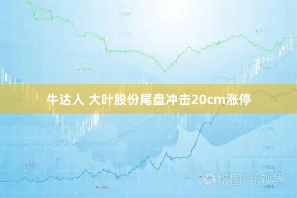 牛达人 大叶股份尾盘冲击20cm涨停