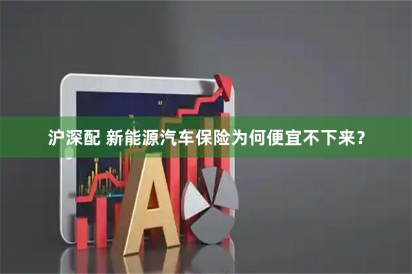 沪深配 新能源汽车保险为何便宜不下来？