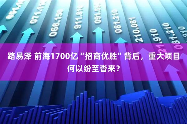 路易泽 前海1700亿“招商优胜”背后，重大项目何以纷至沓来？
