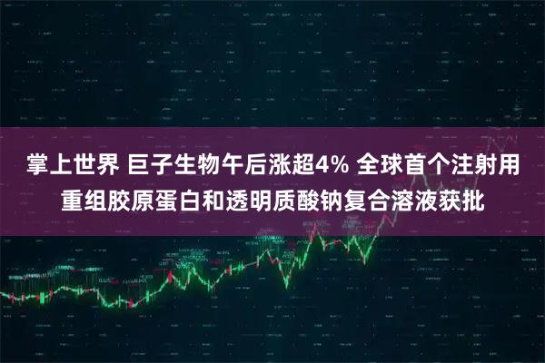 掌上世界 巨子生物午后涨超4% 全球首个注射用重组胶原蛋白和透明质酸钠复合溶液获批