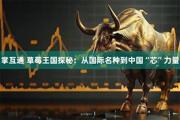 掌互通 草莓王国探秘：从国际名种到中国“芯”力量