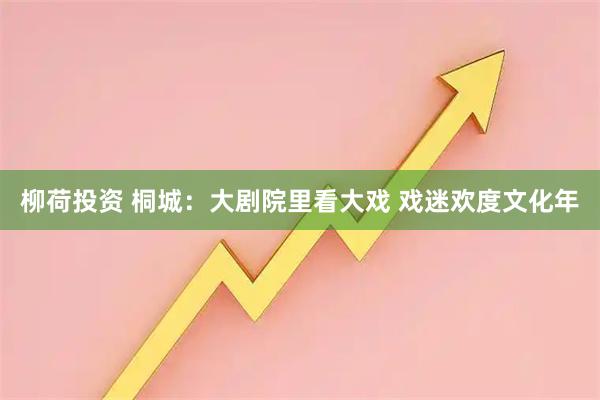 柳荷投资 桐城：大剧院里看大戏 戏迷欢度文化年