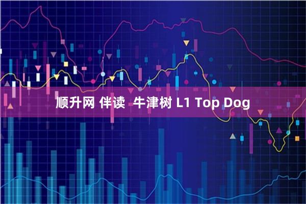 顺升网 伴读 牛津树 L1 Top Dog
