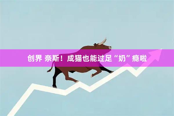 创界 奈斯!成猫也能过足“奶”瘾啦