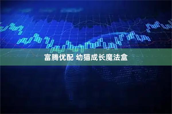 富腾优配 幼猫成长魔法盒